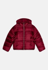 Calvin Klein Jeans LOGO PUFFER - Ziemas jaka - rich cherry