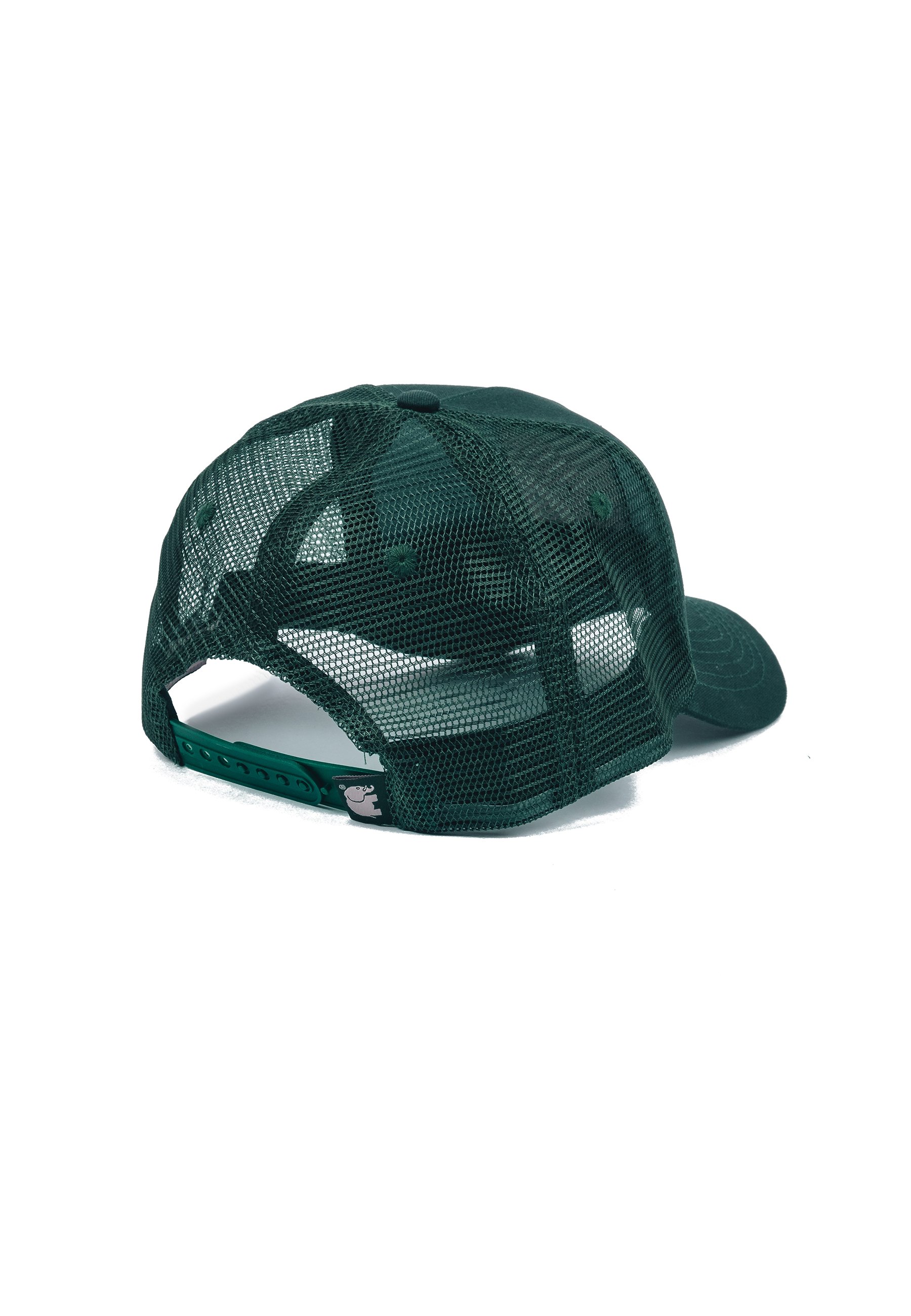 Carhartt WIP CANE HAT UNISEX - Hat - dollar green/white/green