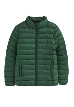 Chaqueta de plumas acolchada verde, con un alto cuello, cierre frontal con cremallera y bolsillos laterales. Material ligero con una textura suave.