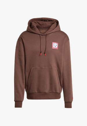 Bruine hoodie gemaakt van zachte stof, met een voorzak, een trekkoord capuchon en een kleurrijke grafische patch op de borst. Rode accenten aan de uiteinden.