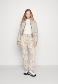 ONLY ONLRICKY REVERSE PUFF JACKET - Veste d'hiver - silver