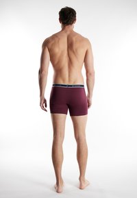 Bordeaux kleurige boxershorts met een marineblauwe tailleband. Het materiaal lijkt zacht, met een gladde textuur en subtiele horizontale strepen. Weergave van de achterkant.