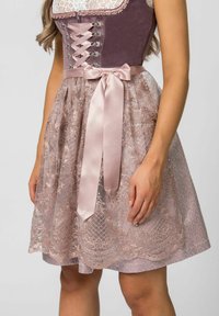 Traditional dress with a fitted purple bodice featuring lace accents and silver hardware, and a layered, sheer light pink skirt with floral patterns.