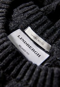 Ciemnoszary sweter z owczej wełny z wyraźnym wzorem prążków. Widoczna metka z napisem "LIND Bergh" oraz "RELAXED FIT".