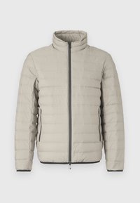 Izbrano, mourning dove