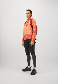 The North Face TRAIL RUN  - Legingi - black/asphalt grey