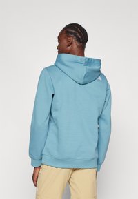 The North Face W DREW PEAK REGULAR HOODIE - Felpa con cappuccio - algae blue