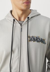 Homme portant un sweat à capuche gris clair zippé avec des cordons noirs et un texte coloré style graffiti sur la poitrine indiquant "ICEBERG."