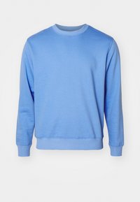 Sudadera de color azul claro hecha de una tela suave, con un cuello redondo, puños acanalados y un corte ligeramente holgado. Sin logos ni patrones visibles.