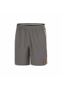 Grijze sportshorts met een elastische tailleband, zijstrepen en een kleurrijke logo patch. De stof is lichtgewicht en glad.
