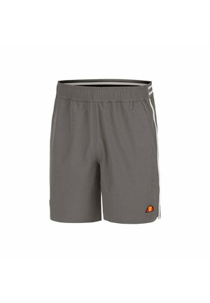 Graue Sportshorts mit elastischem Bund, seitlichen Streifen und einem bunten Logopatch. Der Stoff ist leicht und glatt.