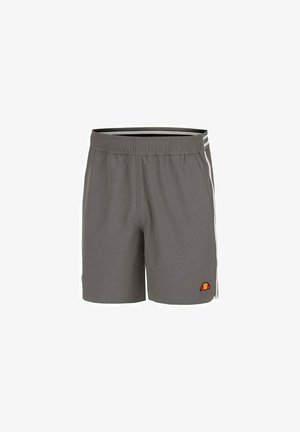 Grijze sportshorts met een elastische tailleband, zijstrepen en een kleurrijke logo patch. De stof is lichtgewicht en glad.