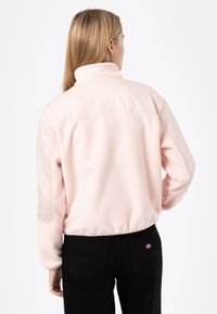 Dickies PORT ALLEN - Felpa in pile - peach whip