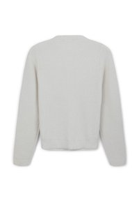 Hellgrauer, gestrickter Pullover mit Rundhalsausschnitt und geripptem Saum. Die Rückseite ist schlicht, mit langen Ärmeln und einer weichen Textur.
