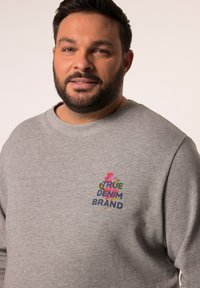 Šedá mikina vyrobená z bavlny s kulatým výstřihem. Na hrudi se nachází barevně vyšívané logo s nápisem "TRUE DENIM BRAND".