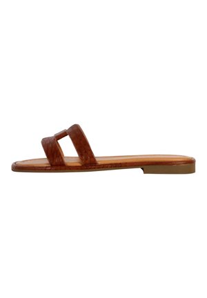 Mules - camel