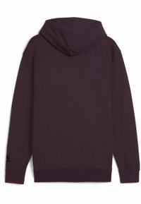 Lila Kapuzenpullover aus Baumwollmischung, mit lockerer Passform, geripptem Saum und Bündchen sowie einem dezenten roten Akzent am Ärmel.