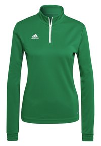 ENTRADA 22 - Sweatshirt - gruen