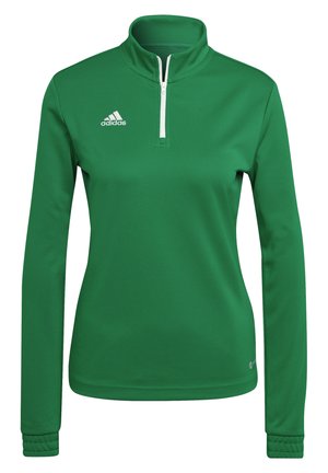 ENTRADA 22 - Sweatshirt - gruen