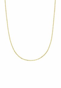 Delicada cadena de oro fina con pequeños eslabones ovalados sobre un fondo blanco.