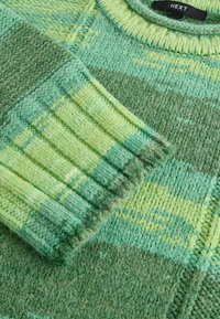 SPACEDYE STRIPE - Džemper - green bright