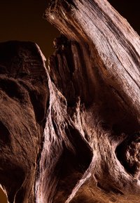 Close-up of dark brown, rough textured wood with deep grooves and irregular shapes against a black background.