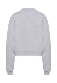 Svetlosivá skrátená mikina s dlhými rukávmi, rebrovanými lemami na manžetách a spodku a jemným vyšívaným logom umiestneným v strede na chrbte.