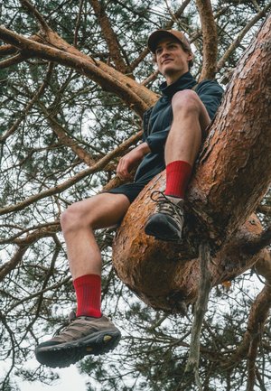 PREMIUM HIKING 2 PACK - Sports socks - multicolor navy blue red