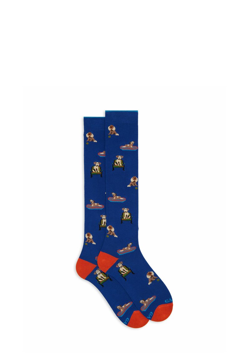Calzini blu con accenti rossi, caratterizzati da un motivo a stampa di cani che mostrano cani in diverse pose, realizzati in un materiale morbido e elasticizzato.