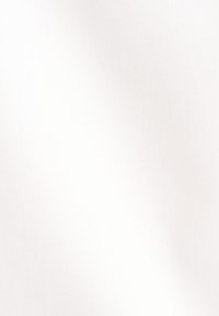 Seidensticker BUSINESS - Zakelijk overhemd - white