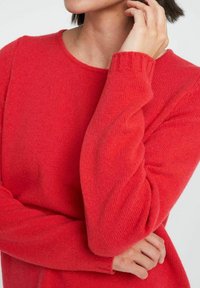 Roter Pullover mit langen Ärmeln, rundem Halsausschnitt, aus weichem Stoff. Rippbündchen und eine strukturierte Oberfläche, die den warmen Farbton unterstreichen.