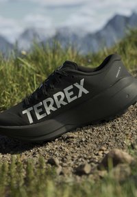 Черен маратон Terrex върху чакълест път със зелена трева и размити планини на заден план.