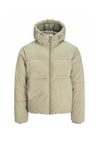JORVESTERBRO PUFFER JACKET  - Chaqueta de invierno - silver sage