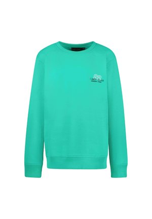 Cars Jeans TARAY BERRY - Sweater - green