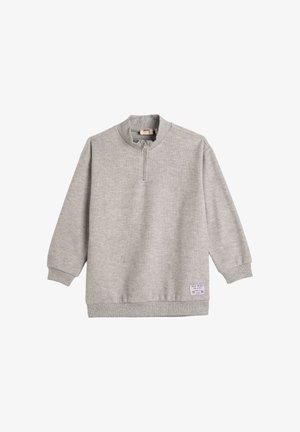 Sudadera gris claro con un cuello de media cremallera, puños y dobladillo de canalé. Presenta una pequeña etiqueta en la parte inferior derecha. Fabricada con tejido suave.