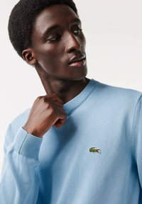 Maglione di cotone azzurro chiaro con scollatura e polsini a costine, caratterizzato da un piccolo logo di coccodrillo ricamato in verde sul petto.