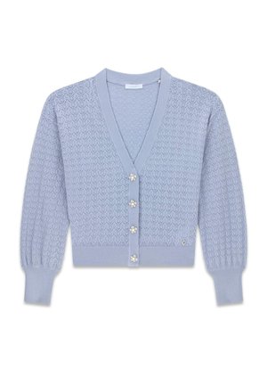 Guess, LS VN NINA CARDI STWR - Gilet - taubenblau