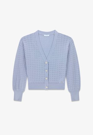 Guess, LS VN NINA CARDI STWR - Cardigan - taubenblau