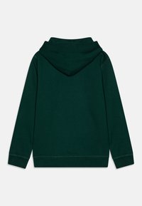 Sötétzöld kapucnis pulóver, puha anyagból készült. Egyszerű dizájnnal rendelkezik, hosszú ujjú és bordázott mandzsettákkal és szegéllyel.