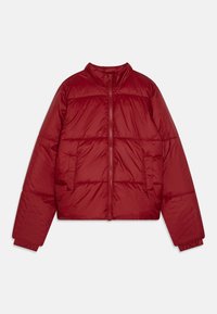 Red puffer jacket, zip front, high neckline, elastic cuffs, quilted design, side pockets, and a cropped silhouette. Smooth, lightweight fabric.