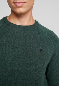 Uomo che indossa un maglione a collo rotondo di colore verde scuro, con un piccolo logo di uccello ricamato sul petto.