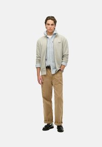 Light gray zip-up sweatshirt over a light blue striped button-up shirt, tan rolled-up chinos, and black shoes. Model stands facing forward.