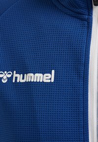 Hummel HMLAUTHENTIC  - Träningsjacka - true blue