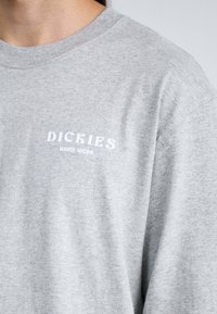 Dickies OATFIELD TEE - Pikkade varrukatega topp - grey