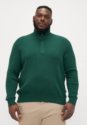 LONG SLEEVE - Maglione - vintage pine