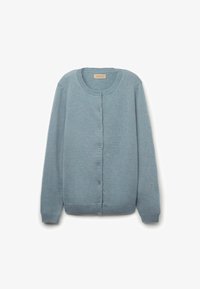 Non sélectionné, Light Blue