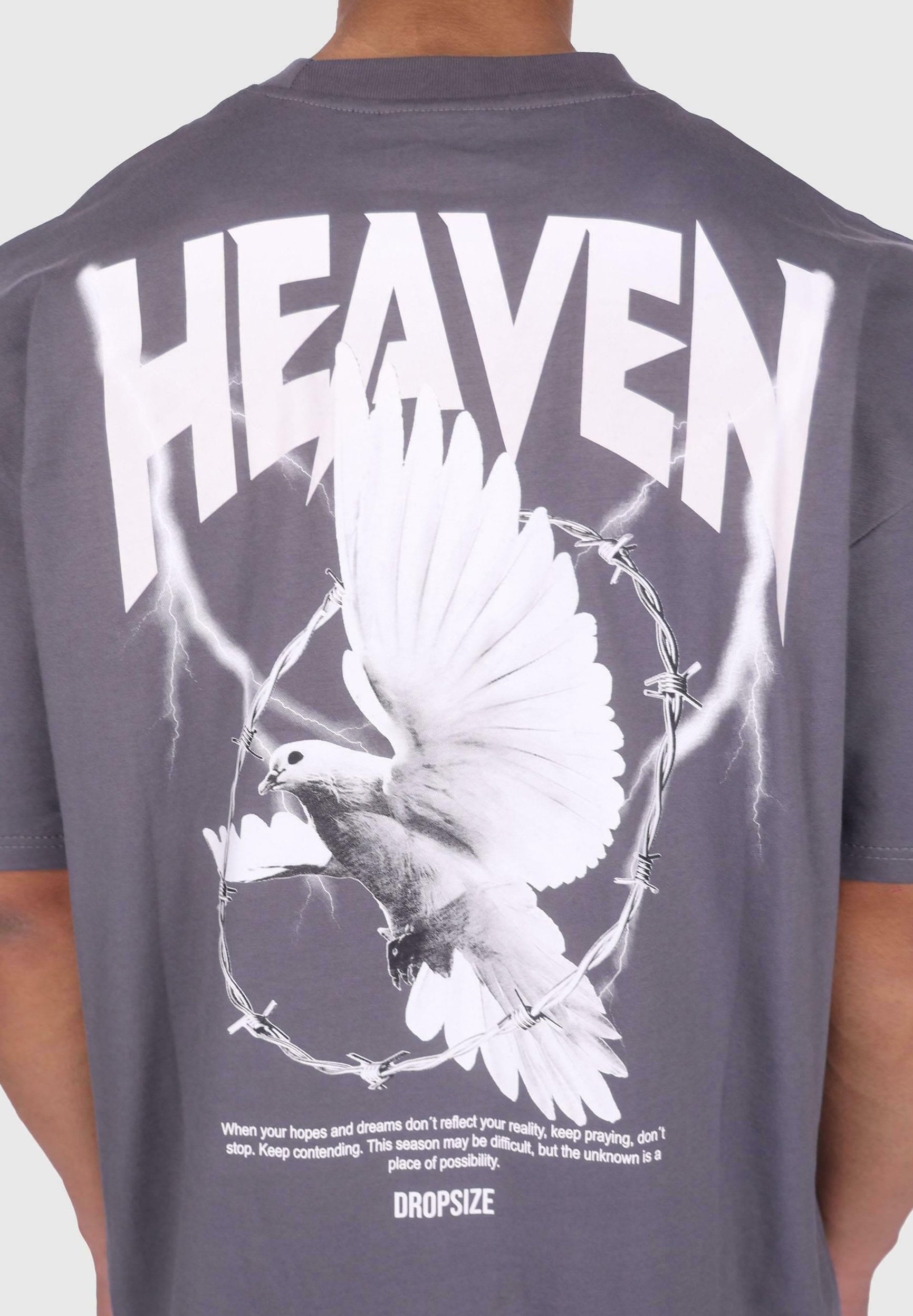 Dropsize HEAVY HEAVEN DOVE - Print T-shirt - steel grey/grey