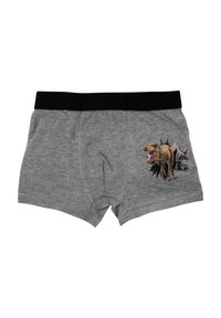 United Labels JURASSIC WORLD - 2ER PACK - Pants - grau