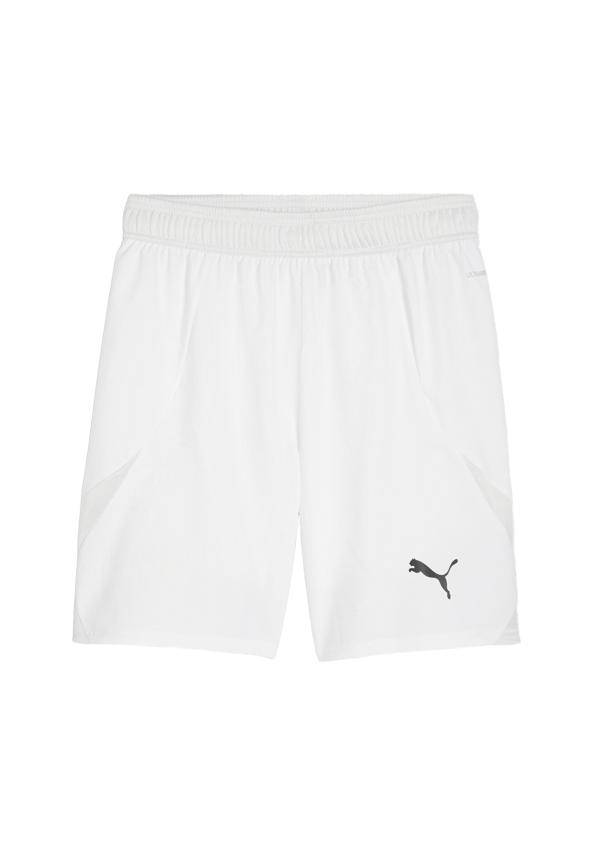 Puma TEAMFINAL Sports shorts white Zalando