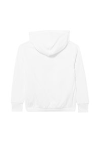 Plain white hooded sweatshirt shown from the back with long sleeves and ribbed cuffs and hem.